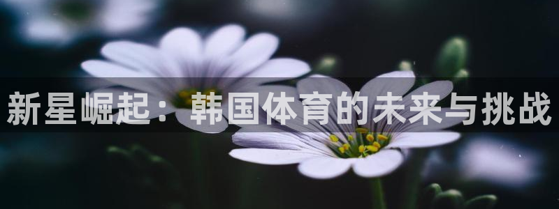 JJB竞技宝官网下载平台APP：新星崛起：韩国体育的