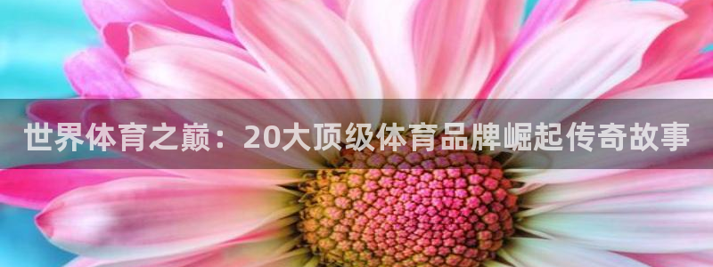 注册JJB竞技宝官方正版app：世界体育之巅：20大顶级体育