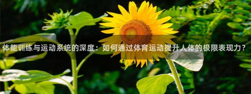 JJB竞技宝官网下载招商电话是多少：体能训练与运动系