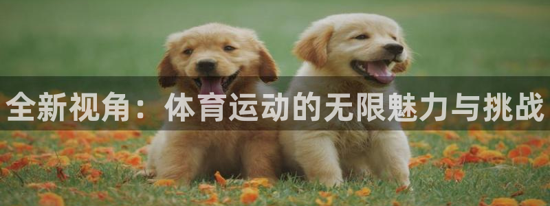 JJB竞技宝官方正版app开户：全新视角：体育运动的