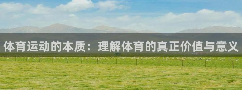 JJB竞技宝官方正版app神州