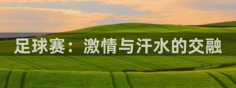 JJB竞技宝官网下载是干嘛的公司：足球赛：激情与汗水的交融