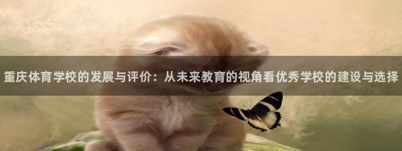 JJB竞技宝官方正版app官网：重庆体育学校的发展与评价：从