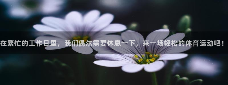 JJB竞技宝官方正版app娱乐是那个系列的台子：在繁忙的工作