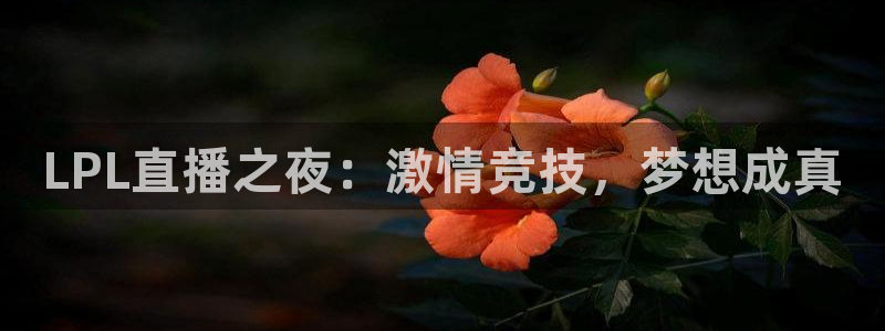 新闻图片