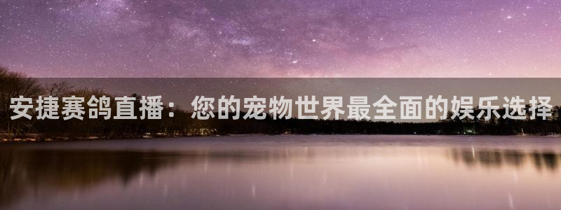 9255tv直播nba在线观看：安捷赛鸽直播：您的宠物世界最全面的娱乐选择