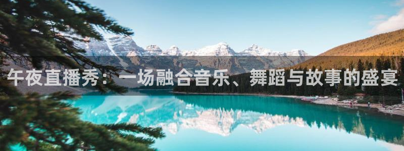 9255tv直播nba在线直播：午夜直播秀：一场融合音乐、舞蹈与故事的盛宴
