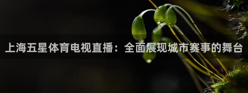 9255tv直播nba在线直播：上海五星体育电视直播：全面展现城市赛事的舞台