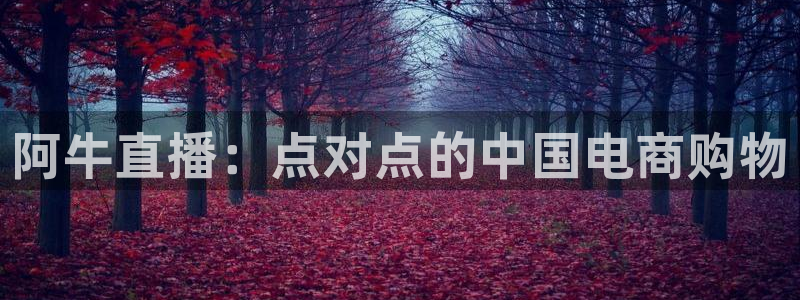 9255tv直播无插件nba：阿牛直播：点对点的中国电商购物