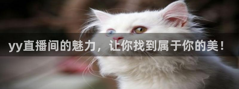 9255tv直播无插件nba：yy直播间的魅力，让你找到属于你的美！