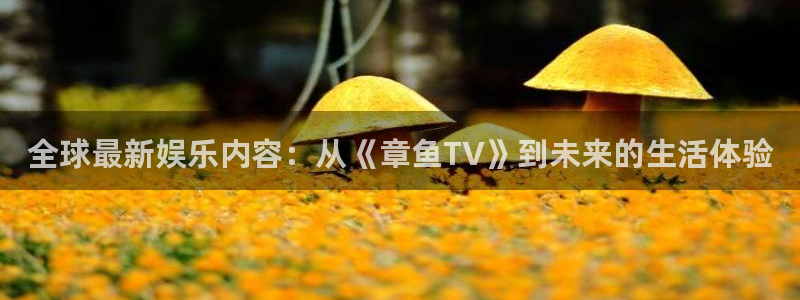 9255tv直播nba在线观看：全球最新娱乐内容：从《章鱼TV》到未来的生活体验